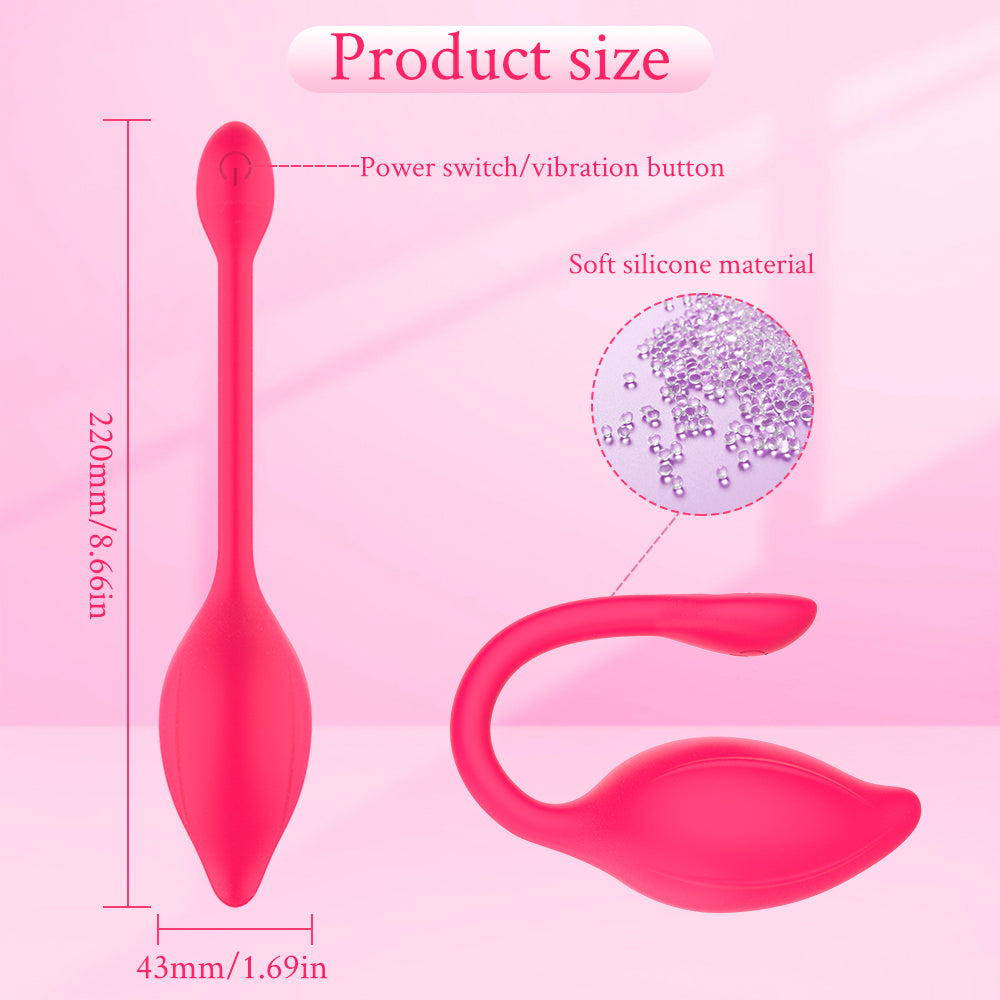 Kegel Balls BAK-435