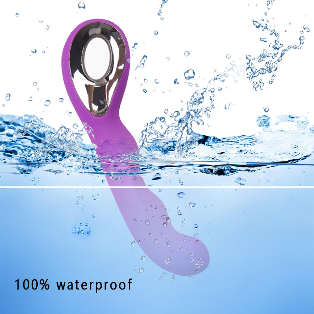 Wand Massagers BIM-047