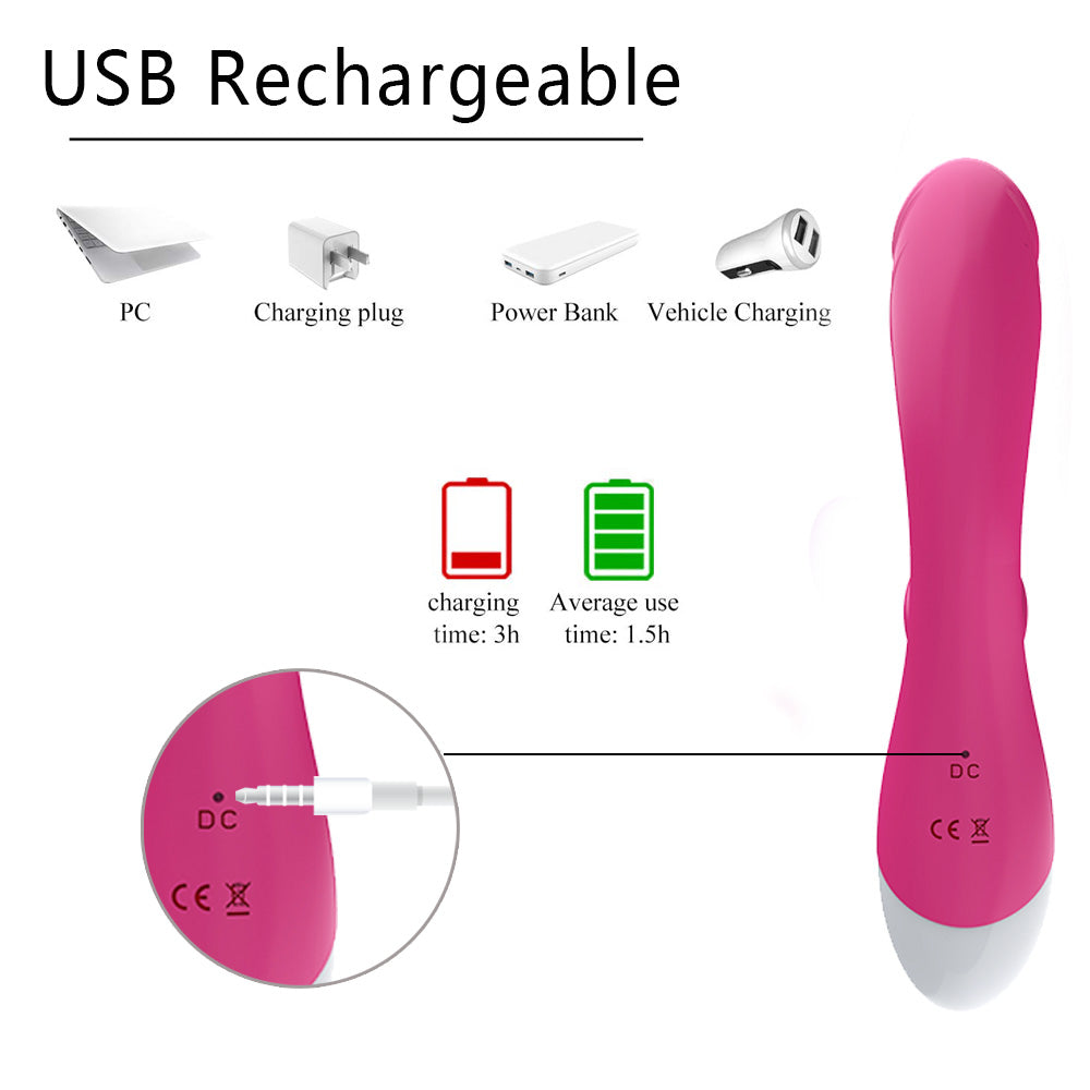 Wand Massagers BIM-208