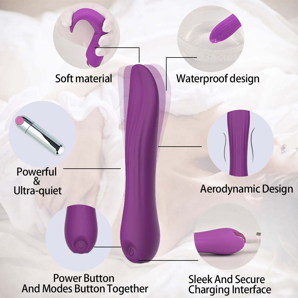 Wand Massagers BIM-260