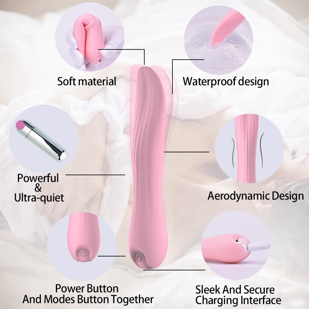 Wand Massagers BIM-260