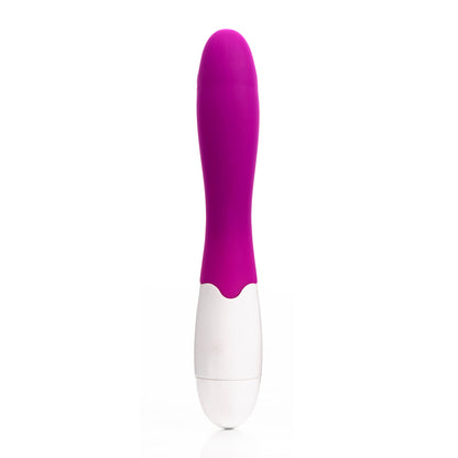 Wand Massagers BIM-050