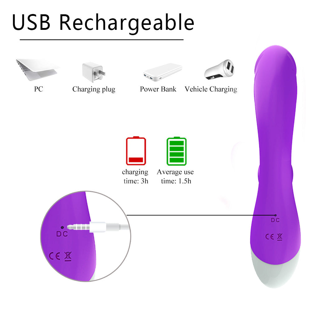Wand Massagers BIM-208